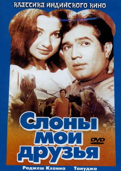 სპილოები ჩემი მეგობრები არიან