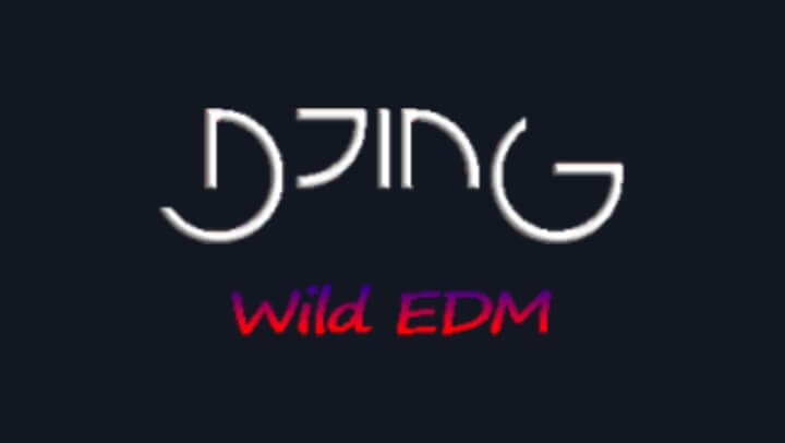 Djing Wild EDM HD