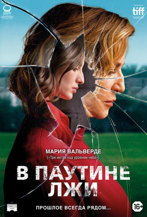 სიცრუის ქსელში