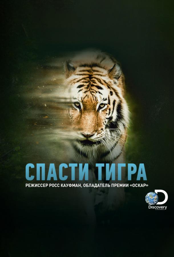 Animal Planet: ლომის გადარჩენა