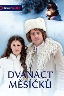 12 თვე
