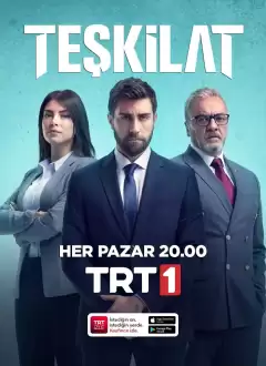 ორგანიზაცია (დაზვერვა)