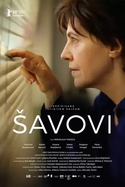 ნაკერები