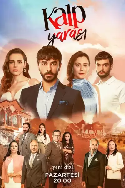 გულის ჭრილობა, გულის იარა