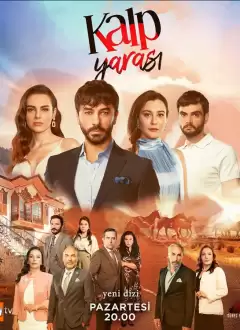გულის ჭრილობა, გულის იარა