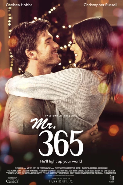 მისტერ 365